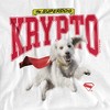 Toddler Boy's Superman 2025 Krypto College T-Shirt - 2 of 3
