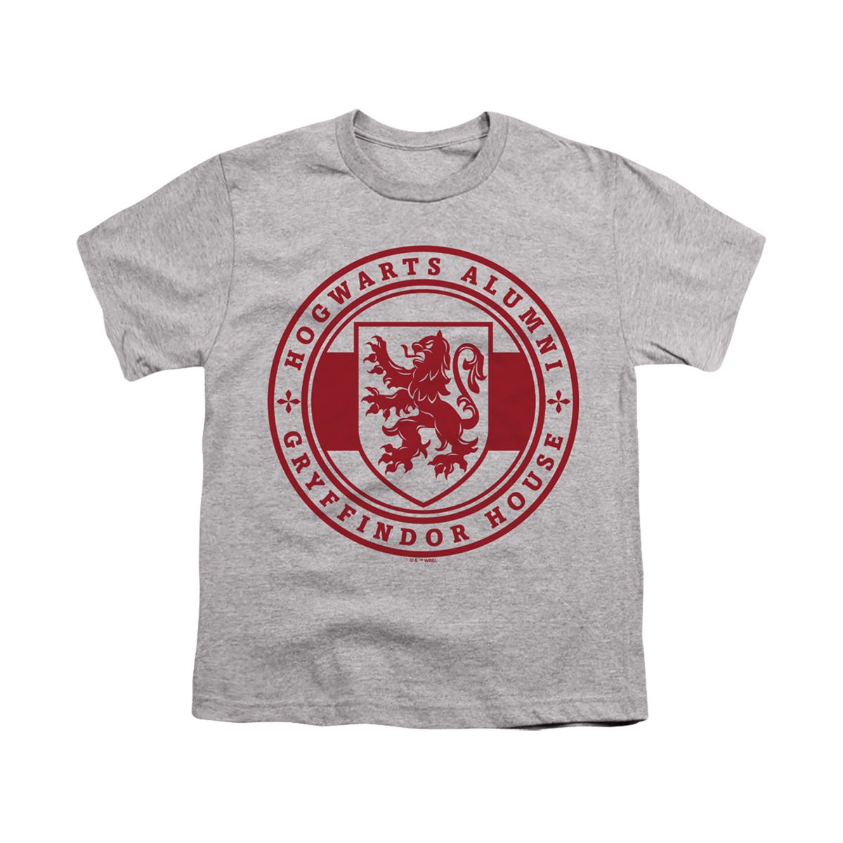 Boys' Harry Potter Gryffindor House Badge T-Shirt - thumbnail 2