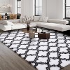 Coucheta Fluffy Shag Runner Rug, Non-Slip Plush Area Rug, Ultra Soft Hallway Carpet for Living Room Bedroom, Machine Washable,  Multi-Color & Size - 2 of 4
