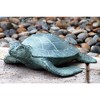 SPI Home Garden Turtle Metal Sculpture – Nature-Inspired Decorative Turtle for Lawn, Patio, or Porch Display, 17" Wide - 3 of 3