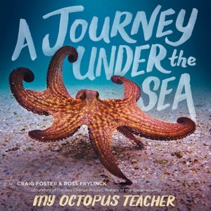 A Journey Under the Sea - by  Craig Foster & Ross Frylinck (Hardcover) - 1 of 1