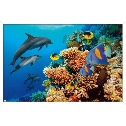 HAWAIIAN ISLANDS Сoral Reef Fish Poster Art Print