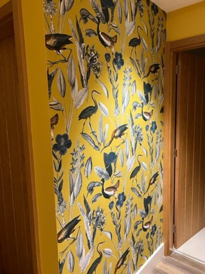 Guest review image 1 of 3, zoom in