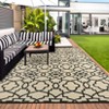 Outdoor Plastic Straw Rug Reversible Mats Indoor Outdoor Area Rug Carpet for Outside, RV, Deck, Picnic, Beach, Trailer, Camping - 3 of 4