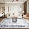 Washable Area Rugs, Vintage Printed Indoor Floor Carpet with Non-Slip Backing, Oriental Distressed Accent Rugs - 4 of 4