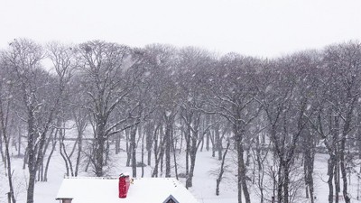 Eco-Friendly Boxwood Leaf Pattern 25" Outdoor Doormat