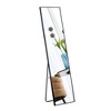 Aluminum Alloy Metal Frame Wall-mounted Full-length Mirror, Bathroom Vanity Mirror, Bedroom Porch, Decorative Mirror, Clothing Store - 3 of 4