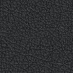 seth freakin rollins