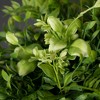 Sullivans Artificial 6" Fern Mixed Green Orb, Green - 2 of 3
