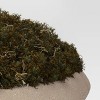 Faux Moss Bowl - Threshold™ - 3 of 4
