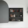 PexFix 24"x16" Rectangle Metal Recessed/Surface Mount Medicine Cabinet with Mirror Black - 2 of 4