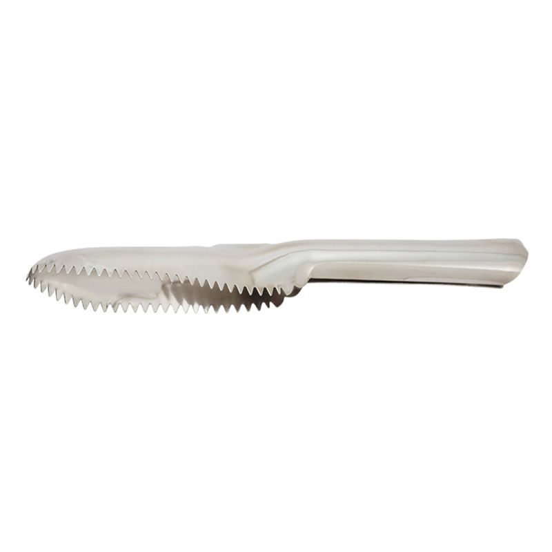 Winco Fish Scaler, Stainless Steel, 9-1/2?, 1 of 4