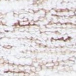 ivory/beige