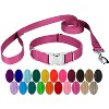 Country Brook Petz Premium Nylon Dog Collar and Leash Set for Small Medium Large Dogs - Vibrant 30+ Color Selection - 2 of 4