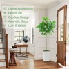 Artificial Fiddle Leaf Fig Tree, Faux Fiddle Leaf Fig Tree with Tall White Planter - 4 of 4