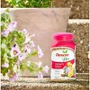 Osmocote 15-9-12 Smart-Release Plant Food Plus, Indoor Outdoor Use, Granules, 1 lb - 4 of 4