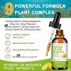Mulittea Calcium Magnesium Zinc Liquid with Vitamin D3 | High Absorption Calcium Supplement for Heart & Bone| 60 ML | Lemon Flavor - 3 of 4