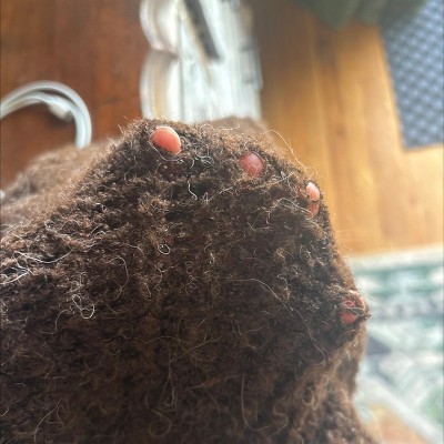 Guest review image 1 of 2, zoom in