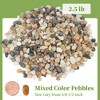 2.5 lbs. Polished Pebbles for Indoor Plants, 3/8" Decorative Stones for Vases & Succulents, Mixed Colors - 3 of 4