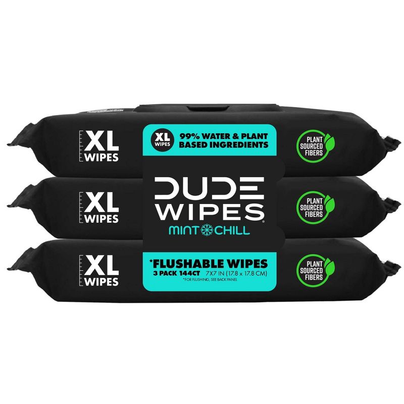 Dude Wipes Mint Chill Flushable Wipes - 3pk/48ct, 1 of 10