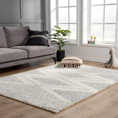 Hauteloom Trunding Plush Area Rug in Gray
