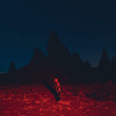 Phoebe Bridgers - Punisher