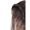HalloweenCostumes.com T-Rex Kids Costume - 4 of 4