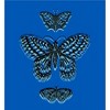 Celestial Tropics Butterflies Adult Crew Neck Short Sleeve Tee - 2 of 2