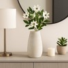 Decorative Ribbed Flower Vase for Living Room Decor - Minimalist Stylish Home Accent for Bedroom, Office, or Tabletop Decor - 2 of 4