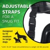 Evergreen Pet Supplies 2 Pack Med/Large Dog Ear Muffs for Advanced Dog Hearing Protection - Fireworks Relief - Ear Covers for Dogs - 3 of 4