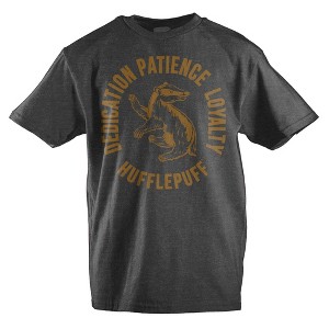 Youth Boys Hufflepuff Shirt Boys Graphic Tee - 1 of 1