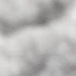 cream, gray, light slate