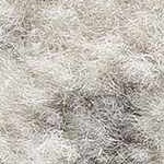 cream, gray, light slate