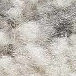 cream, gray, light slate