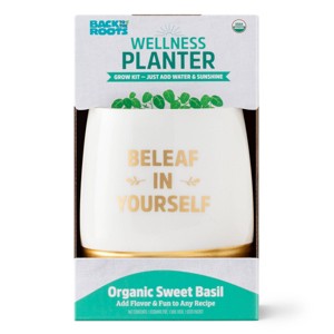 Back to the Roots Organic Sweet Basil Wellness Planter Grow Kit with Pot Soil and Seeds - 1 of 4