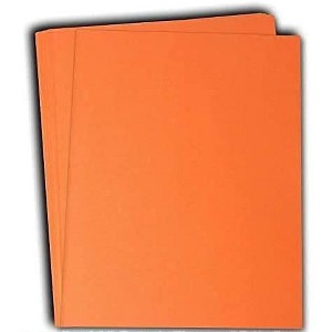 Hamilco Colored Cardstock Paper 11" x 17" Peach Flower Color Card Stock Paper 50 Pack - 1 of 4