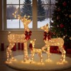 Karl Home 3PCS Reindeer Family Christmas Decoration with LED Lights - 3 of 4