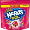 Nerds Gummy Clusters Family Size Candy - 18.5oz - 2 of 4