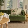 Mina Victory Vintage Frog Indoor Throw Pillow - 3 of 4