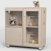 LAOTIES 4-Tier Wooden Hamster Cage With Storage,Large Indoor Guinea Pig Cages With Acrylic Windows And Openable Top For Small Animals - 3 of 4