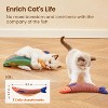 Potaroma 3 Pack Saury Fish and 3 Pcs Soft Linen Crinkle Sound Fish - 2 of 3