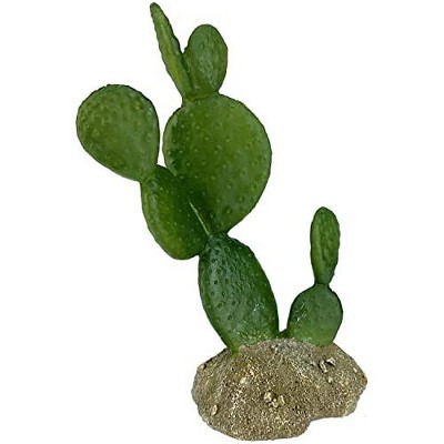 Multipet Komodo Cactus Plant - Prickly Pear Variety