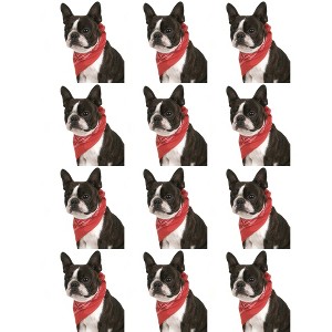 12 Pack Paisley Triangle Polyester Dog Bandanas for Daily Wear Outings - 1 of 4