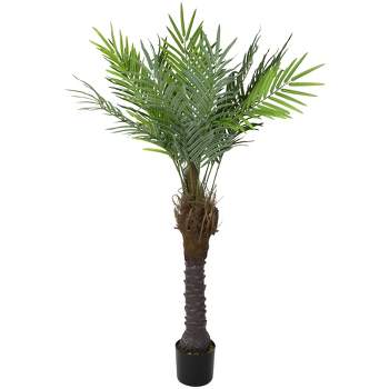 Northlight 7.25' Artificial Potted Phoenix Palm Tree, Unlit : Target