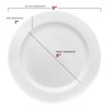 Smarty Had A Party 9" White w/ Silver Edge Rim Plastic Buffet Plates - 120 pcs - 3 of 4