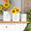 Melrose Brushed Metal Insect Planter (Set of 3) - 2 of 4