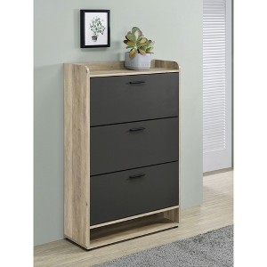 Vynxaria Grey 3-Tier Engineered Wood Shoe Cabinet, Stylish and Functional Design - 1 of 4