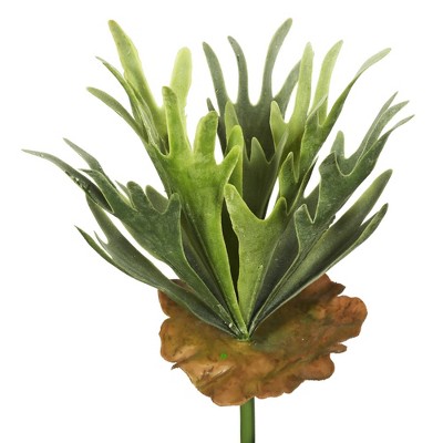 Artificial Staghorn Fern Bush Frosted - Vickerman