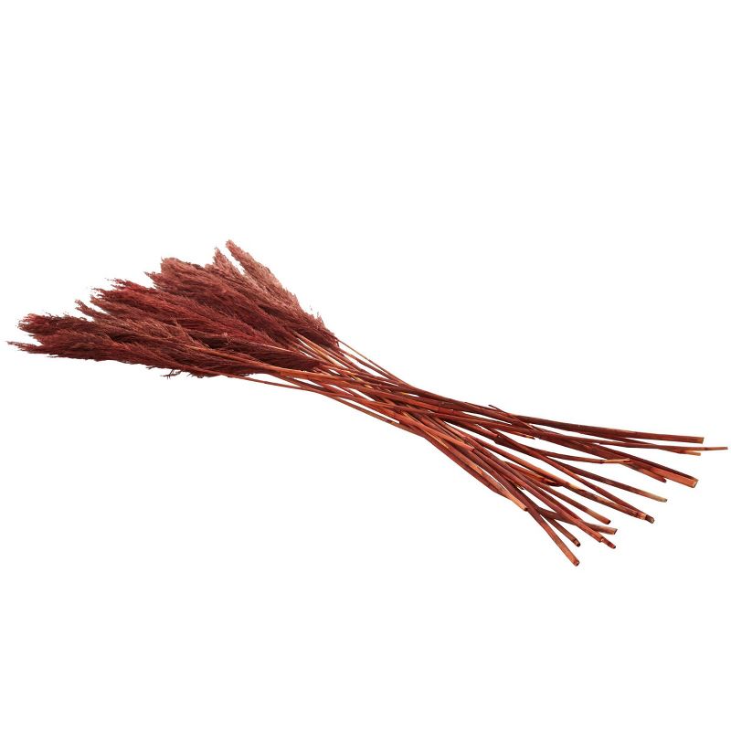 35&#39;&#39; x 2&#39;&#39; Dried Plant Pampas Natural Foliage with Long Stems Red - Olivia &#38; May, 4 of 7