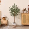 DR.Planzen 5/6/7FT Single-Trunk Artificial Olive Tree with White Planter, Faux Olive Plant for Indoor & Outdoor Home Decor - 4 of 4